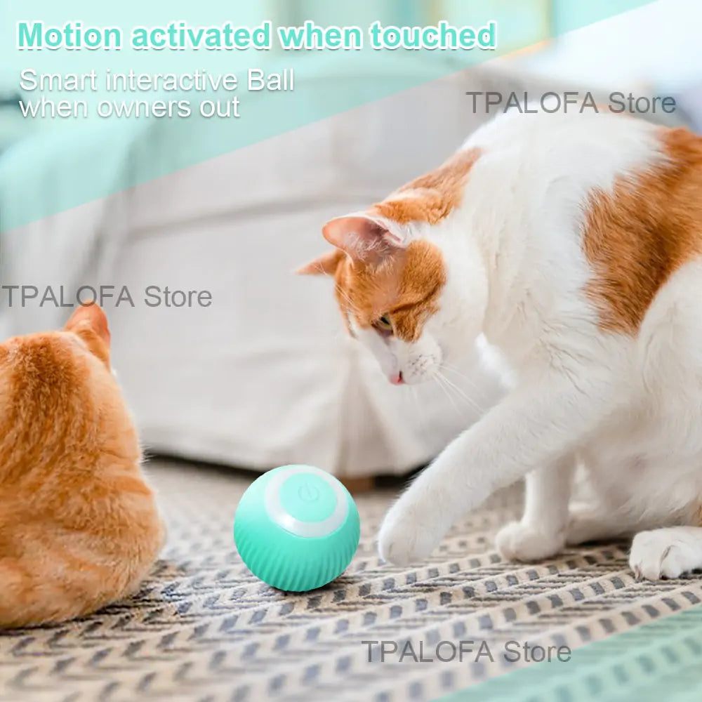 Self-moving Kitten Toys