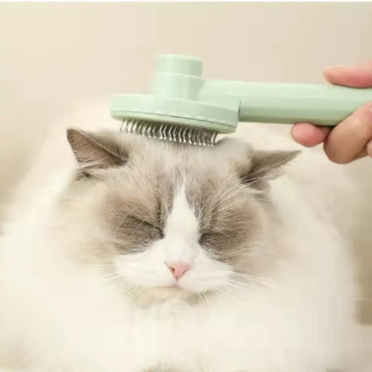 Cat Grooming Brush | Electric Grooming Brush | Furry Mart