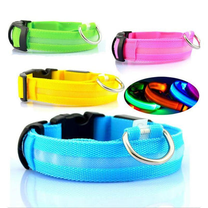 Pet Dog LED Glowing Luminous Night Safety Collar