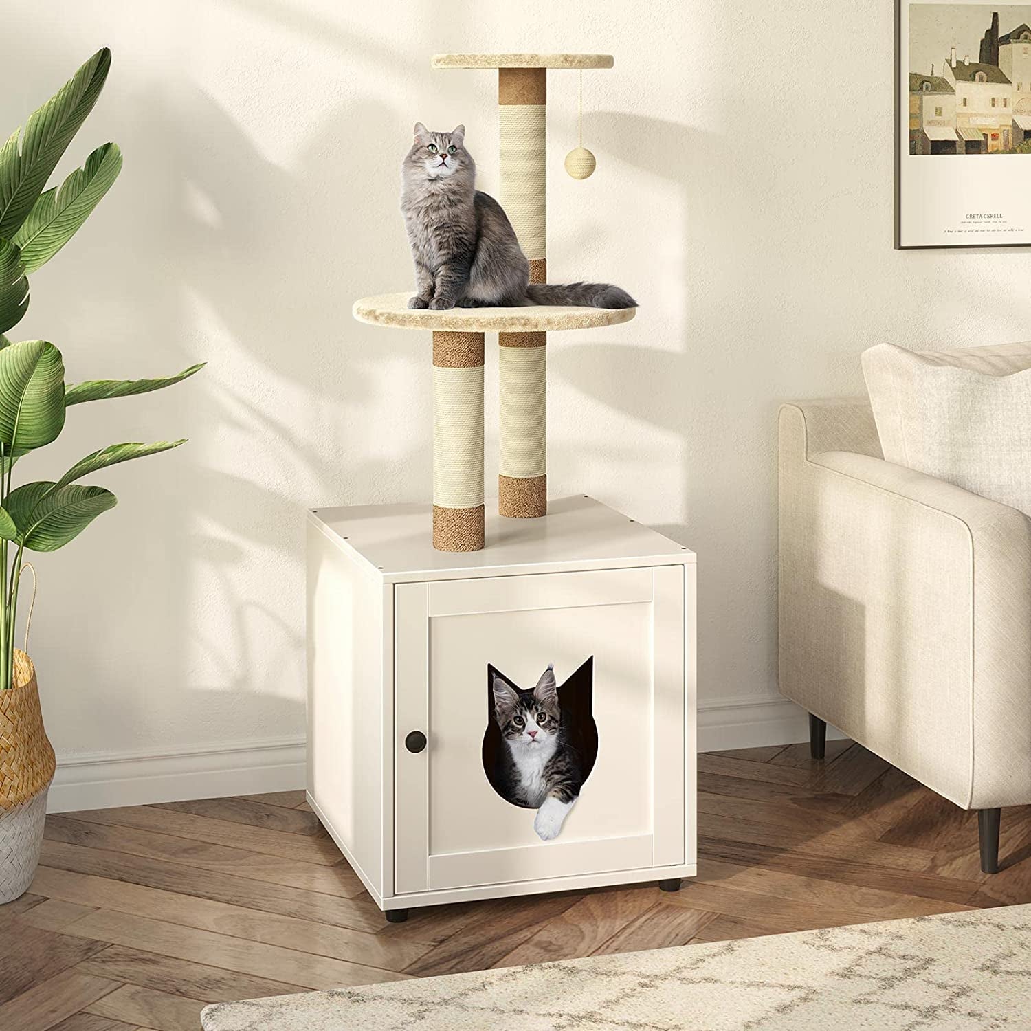 Cat Litter Box | Cat Scratching Post | Furry Mart