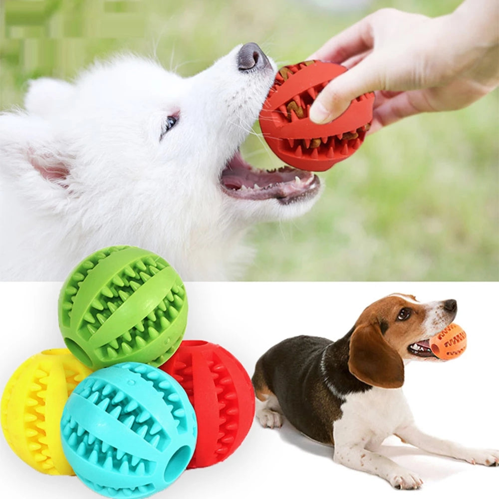 Dog Chew Toys | Watermelon Ball for Dog | Furry Mart