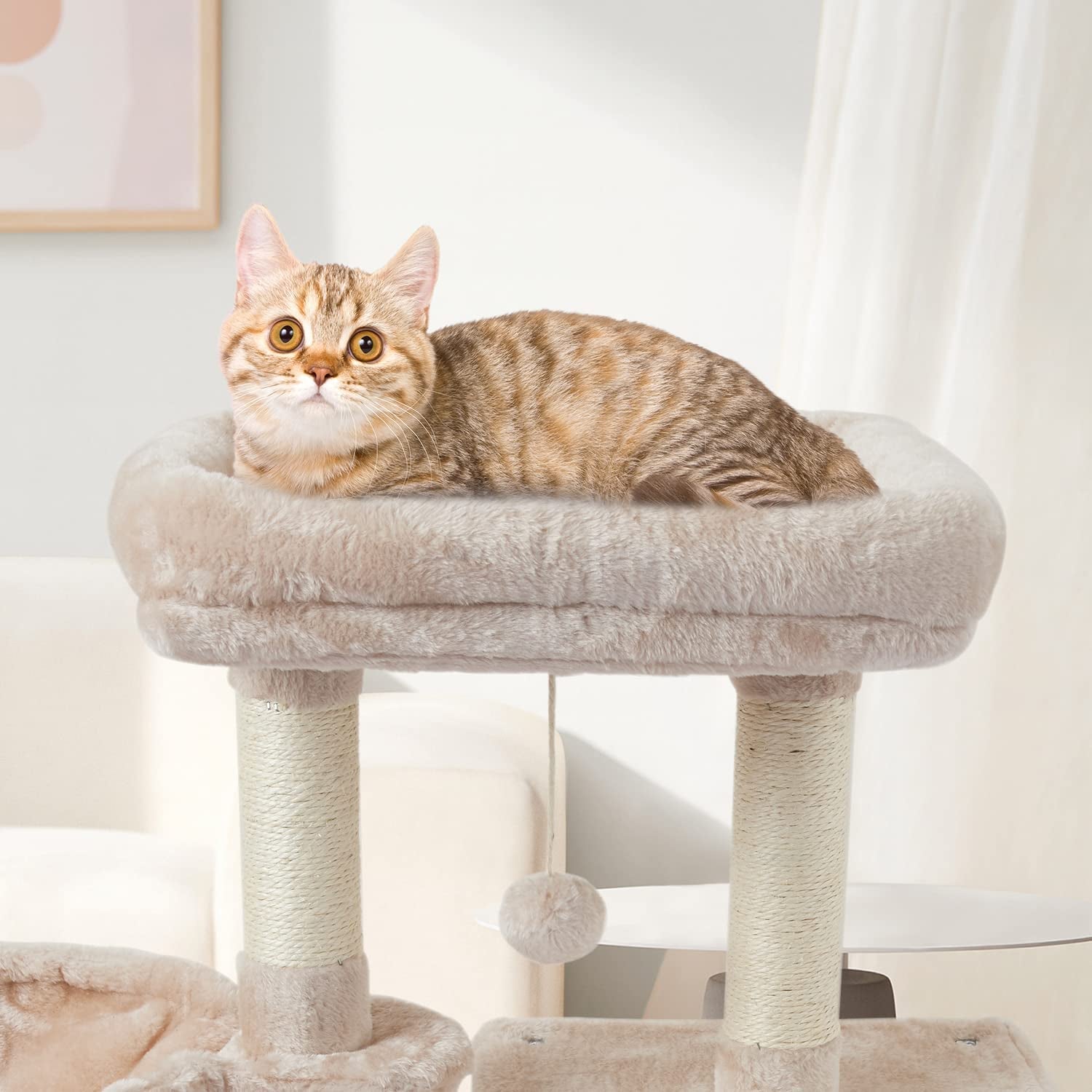 US09M Cute Cat Tree Kitten Cat Tower for Indoor Cat Condo Sisal Scratching Posts with Jump Platform Cat Furniture Activity Center Play House Beige