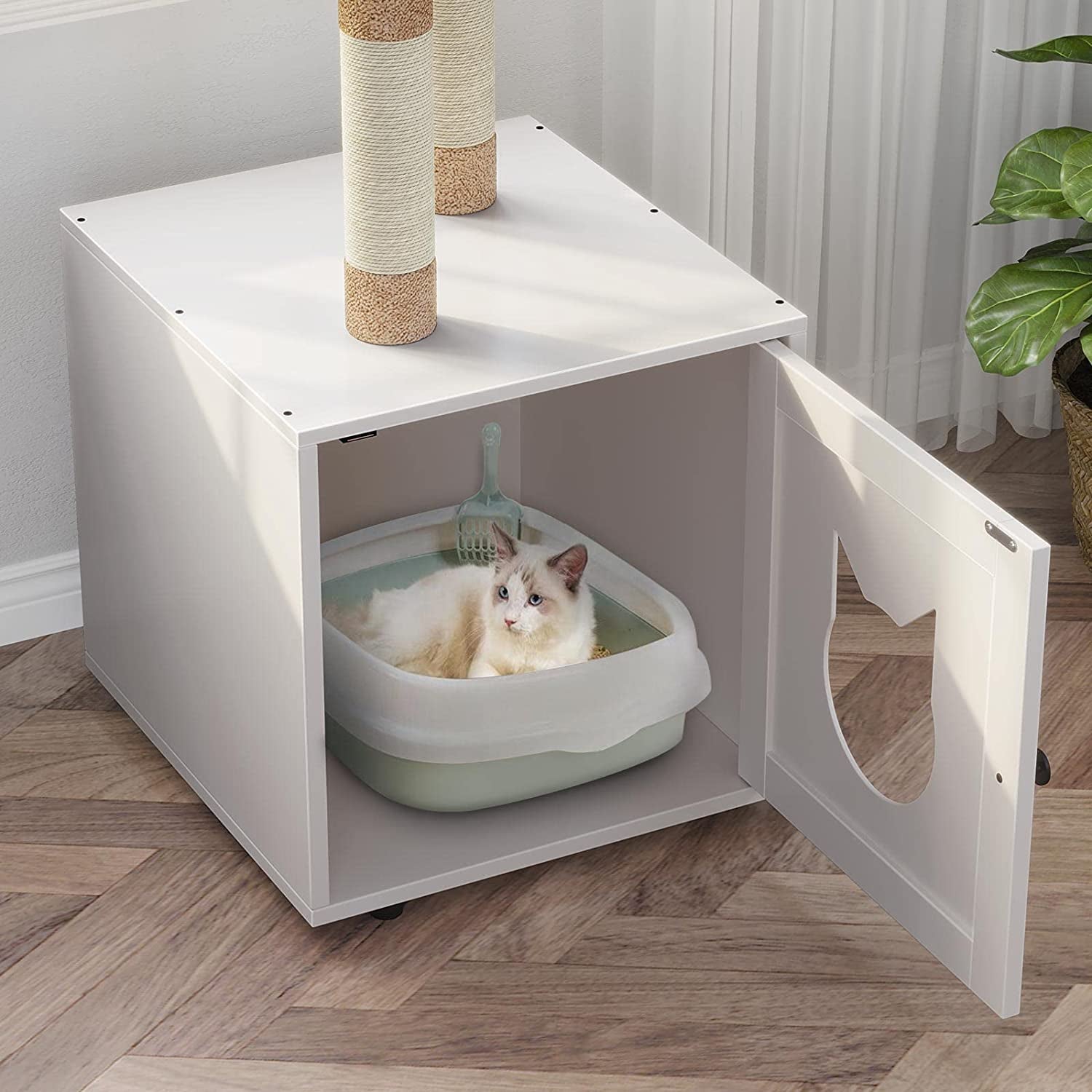 Cat Litter Box | Cat Scratching Post | Furry Mart