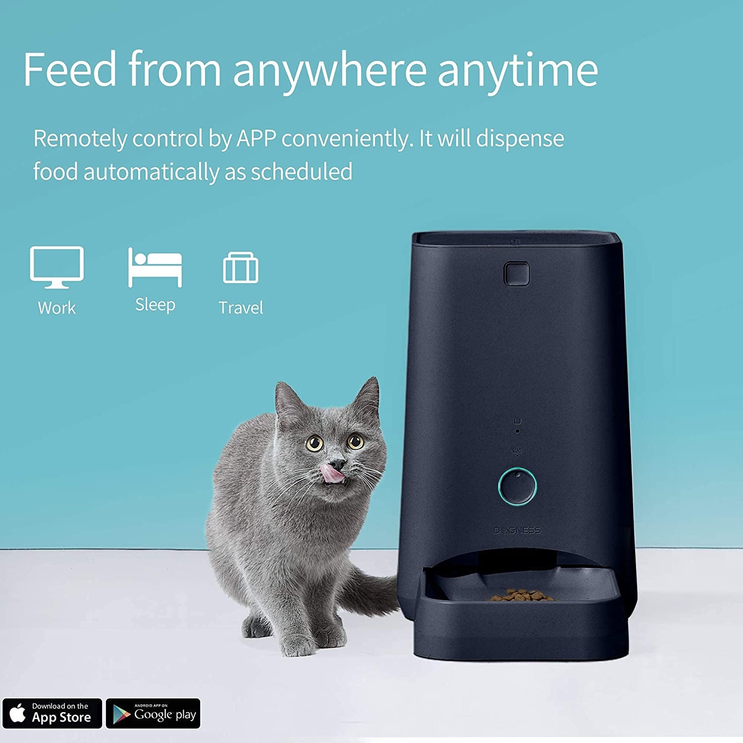 Automatic Cat Feeder | 6L Cat Feeder | Furry Mart