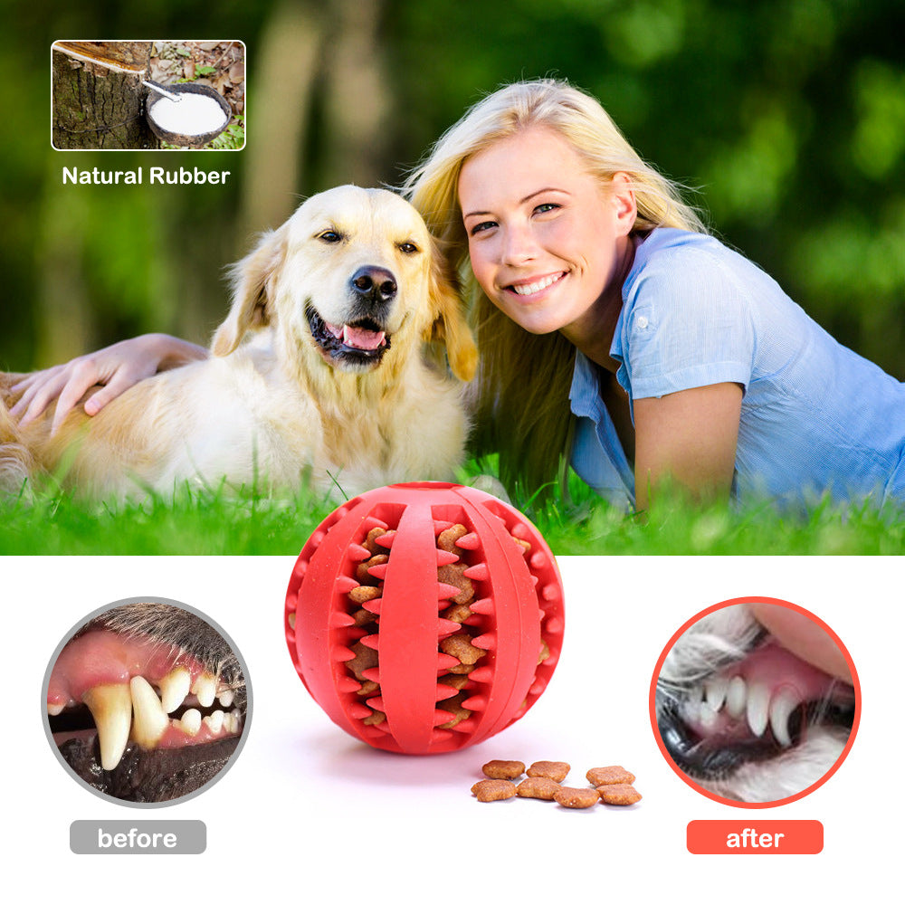 Dog Chew Toys | Watermelon Ball for Dog | Furry Mart