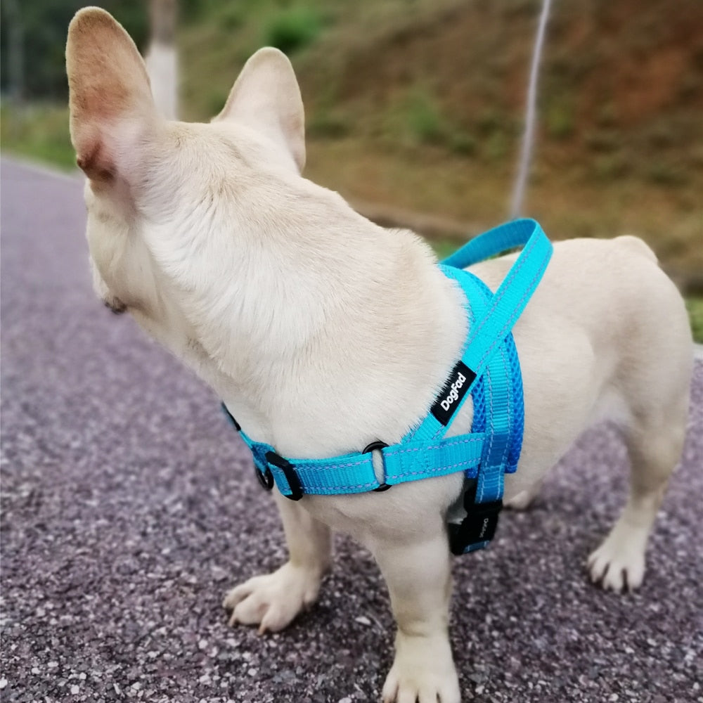 Dog Harness Vest | Adjustable Dog Harness | Furry Mart