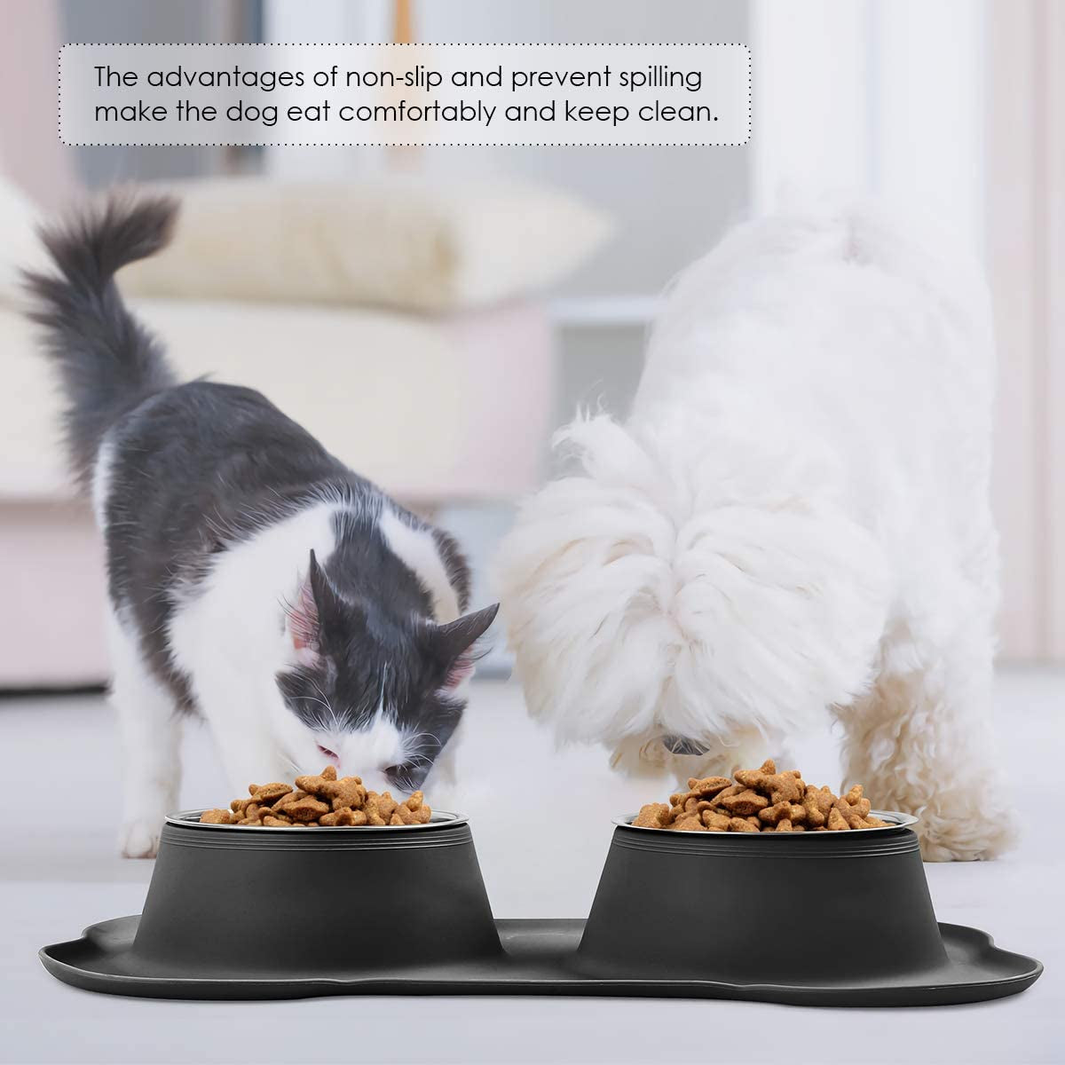  Stainless Steel Dog Bowl | Feeder Bowls for Dogs | Furry Mart