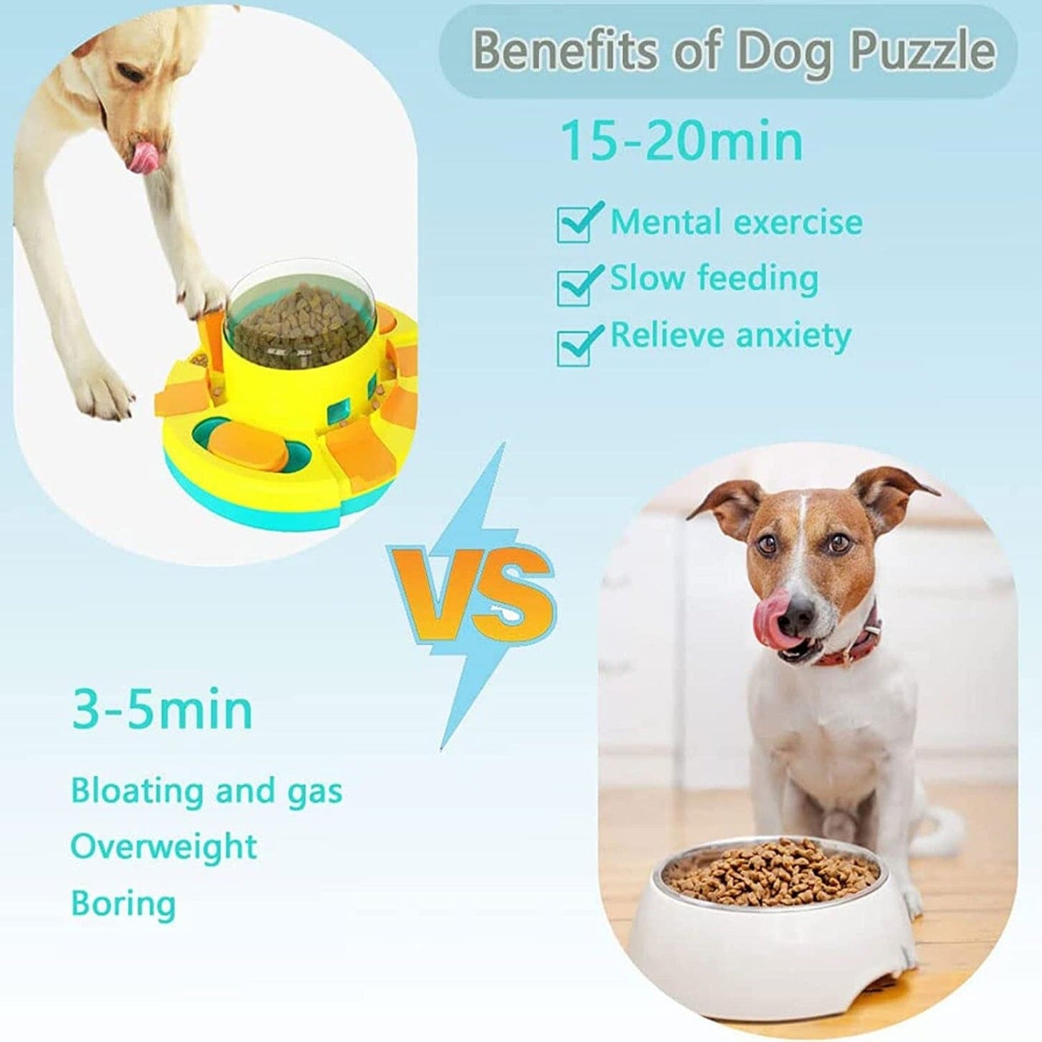 Dog Slow Feeder | Dog Puzzle Feeder | Furry Mart