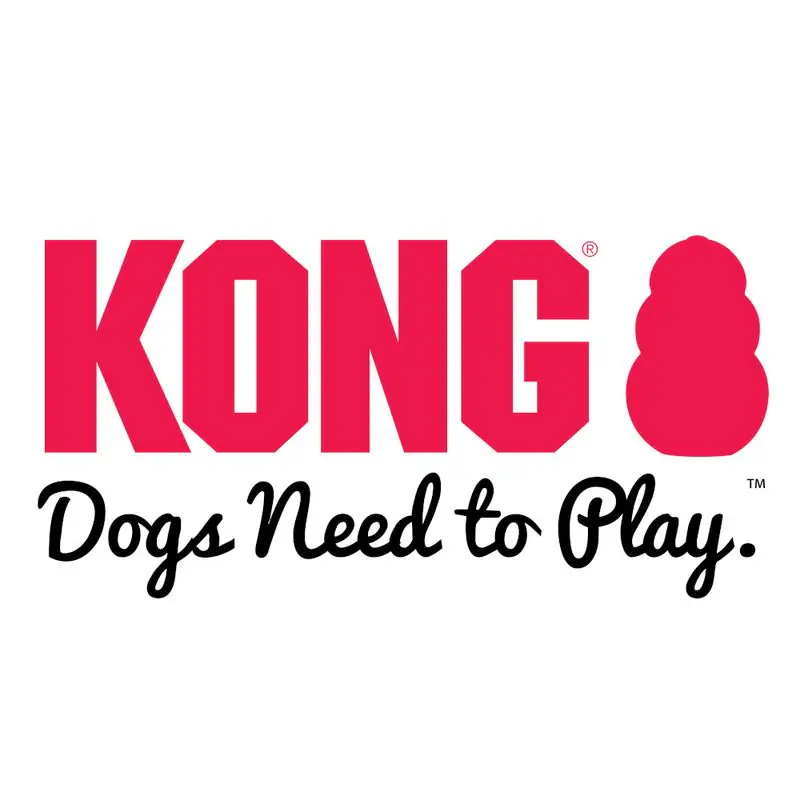 Kong - Dogs need to play