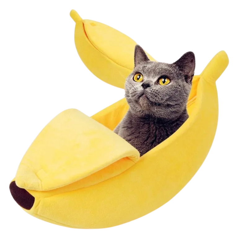 Comprehensive Pet Store Product Range