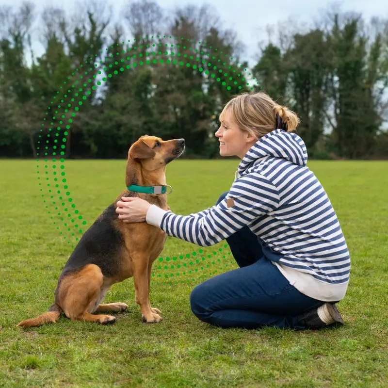 FRONTLINE® Plus Spot On for Dogs - M (10-20kg) - Image 11
