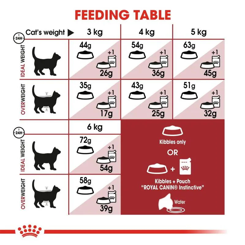 Royal Canin Regular Fit - Image 6