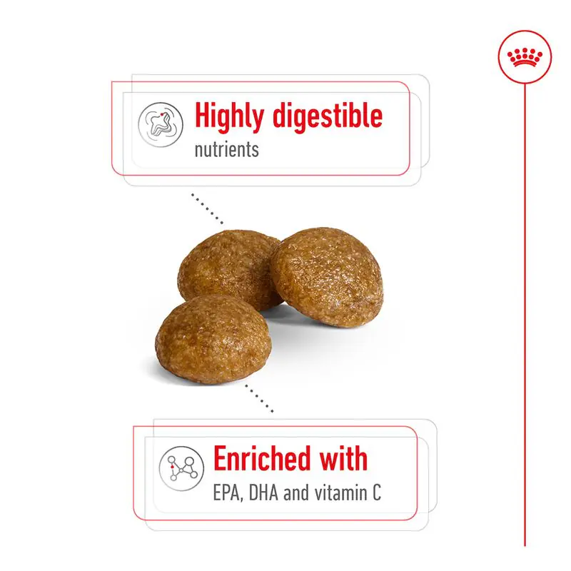 Royal Canin X-Small Adult