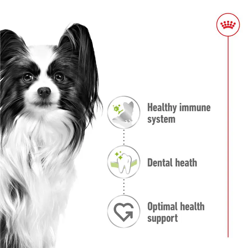 Royal Canin X-Small Adult - Image 4