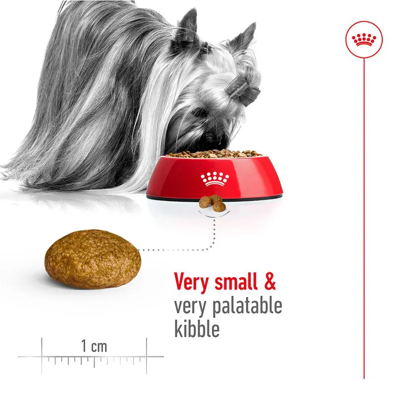 Royal Canin X-Small Adult - Image 5
