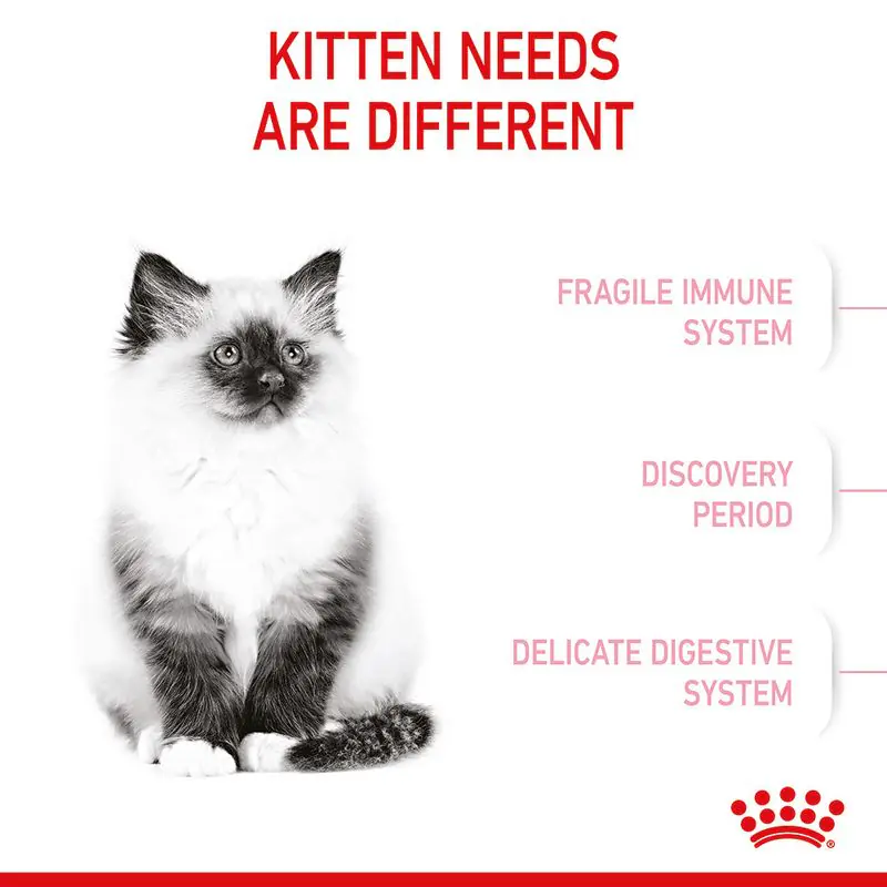 Royal Canin Kitten - Image 7