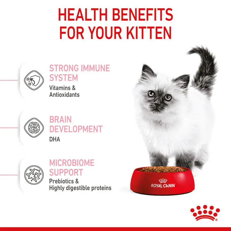 Royal Canin Kitten - Image 8