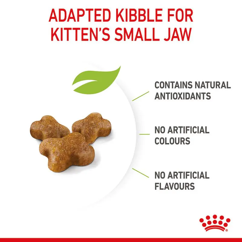 Royal Canin Kitten - Image 9