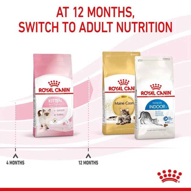 Royal Canin Kitten - Image 10