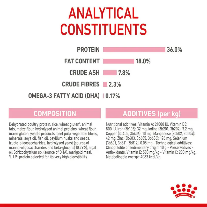 Royal Canin Kitten - Image 11