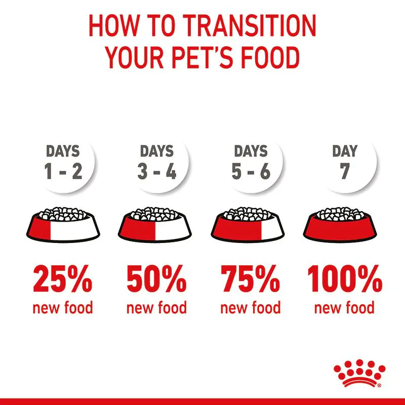 Royal Canin Kitten - Image 13