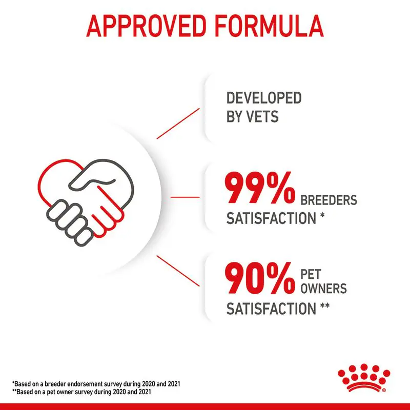 Royal Canin Kitten - Image 14