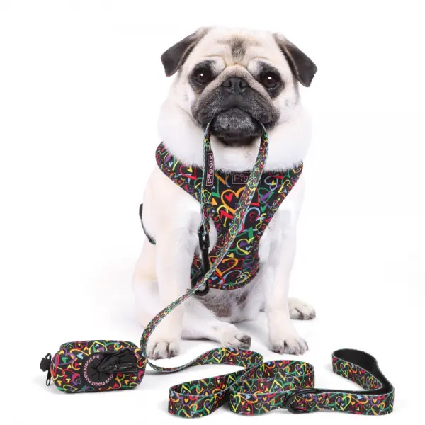 A Work Of Heart Dog Lead