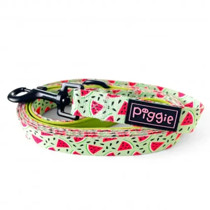 Melon-tastic Dog Lead
