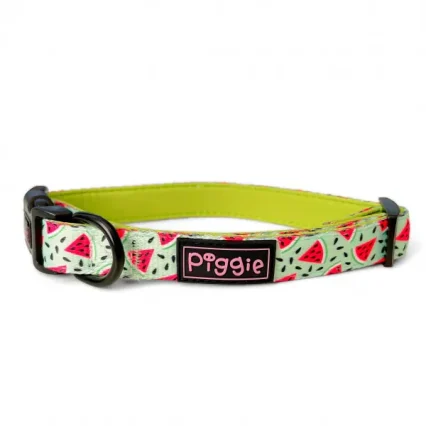 Melon-tastic Dog Collar